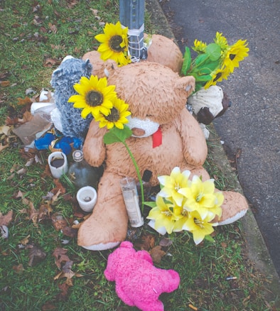 A roadside memorial featuring a large brown teddy bear adorned with bright yellow sunflowers and artificial lilies. The bear is surrounded by various small items, including a smaller pink teddy bear, candles, and a couple of stuffed toys on the grassy ground. Leaves and other remnants are scattered around, with a road edge visible nearby.