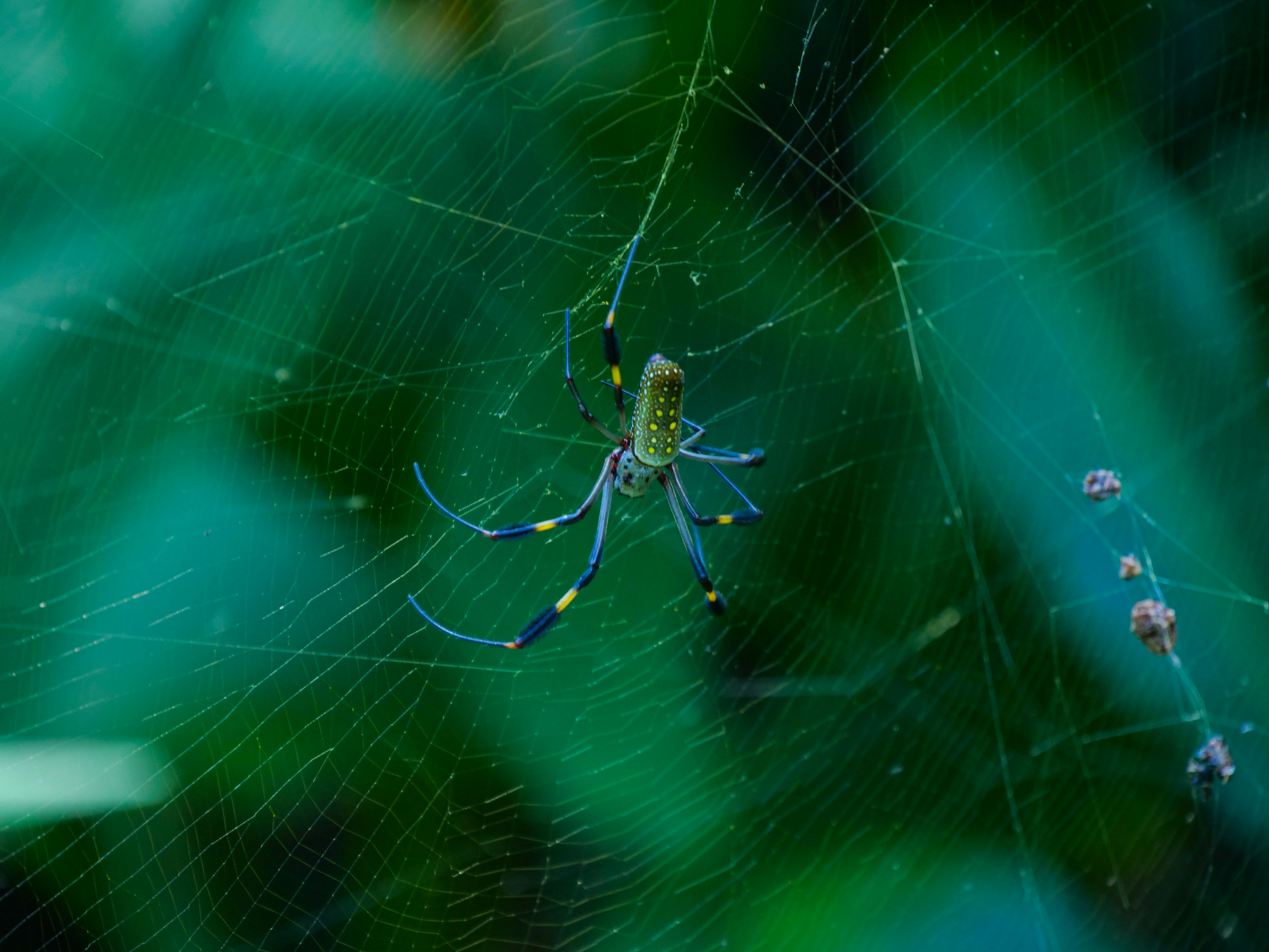 Photo by florian_delee