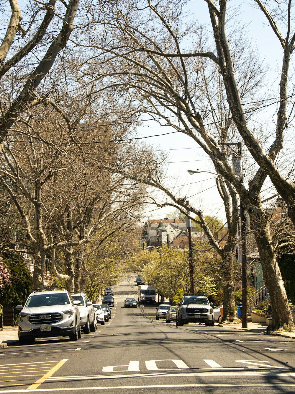 a street lined with trees and parked cars