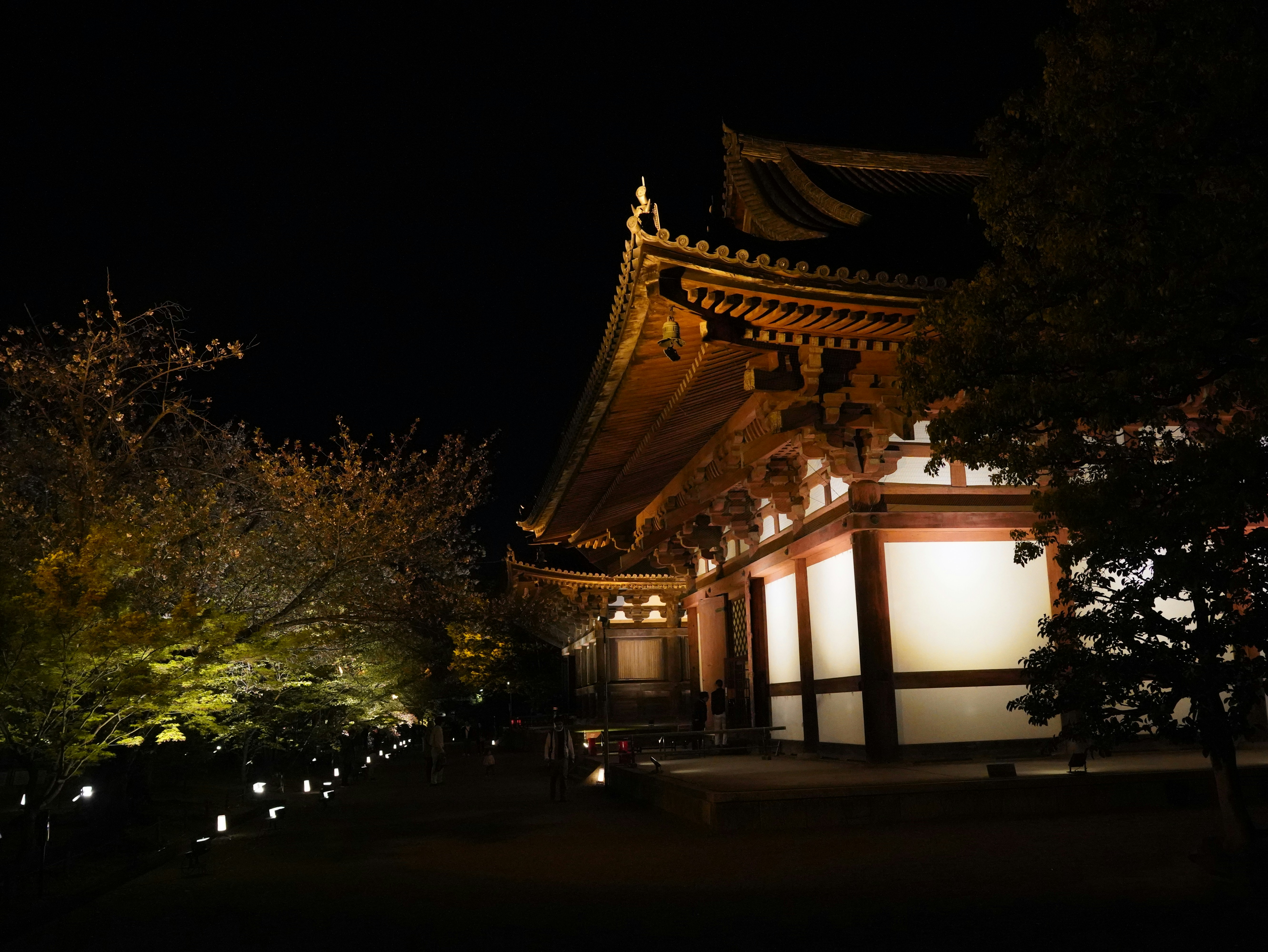 Nabana no Sato winter illumination