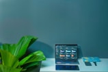 A minimalist workspace featuring a laptop displaying an organizational application. The desk also holds a smartphone, a book titled 'PRINT', and a watch. On the left side, there is a vibrant green plant, contrasting against the soothing teal background.