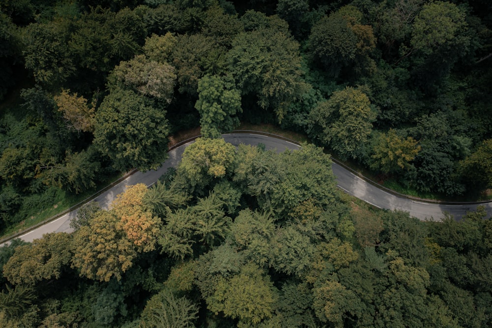 an aerial view of a winding road surrounded by trees