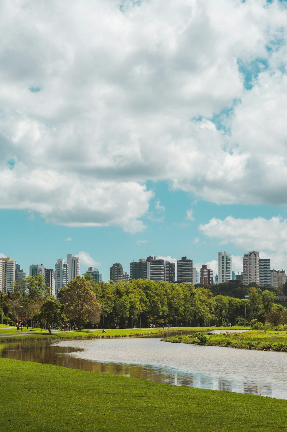 a large body of water surrounded by a lush green park