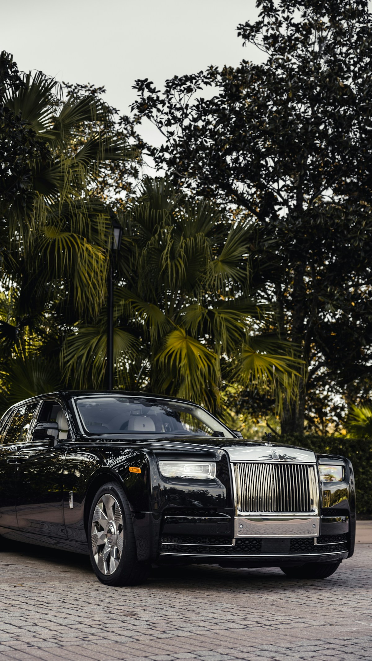 black Rolls-Royce parked in front of trees