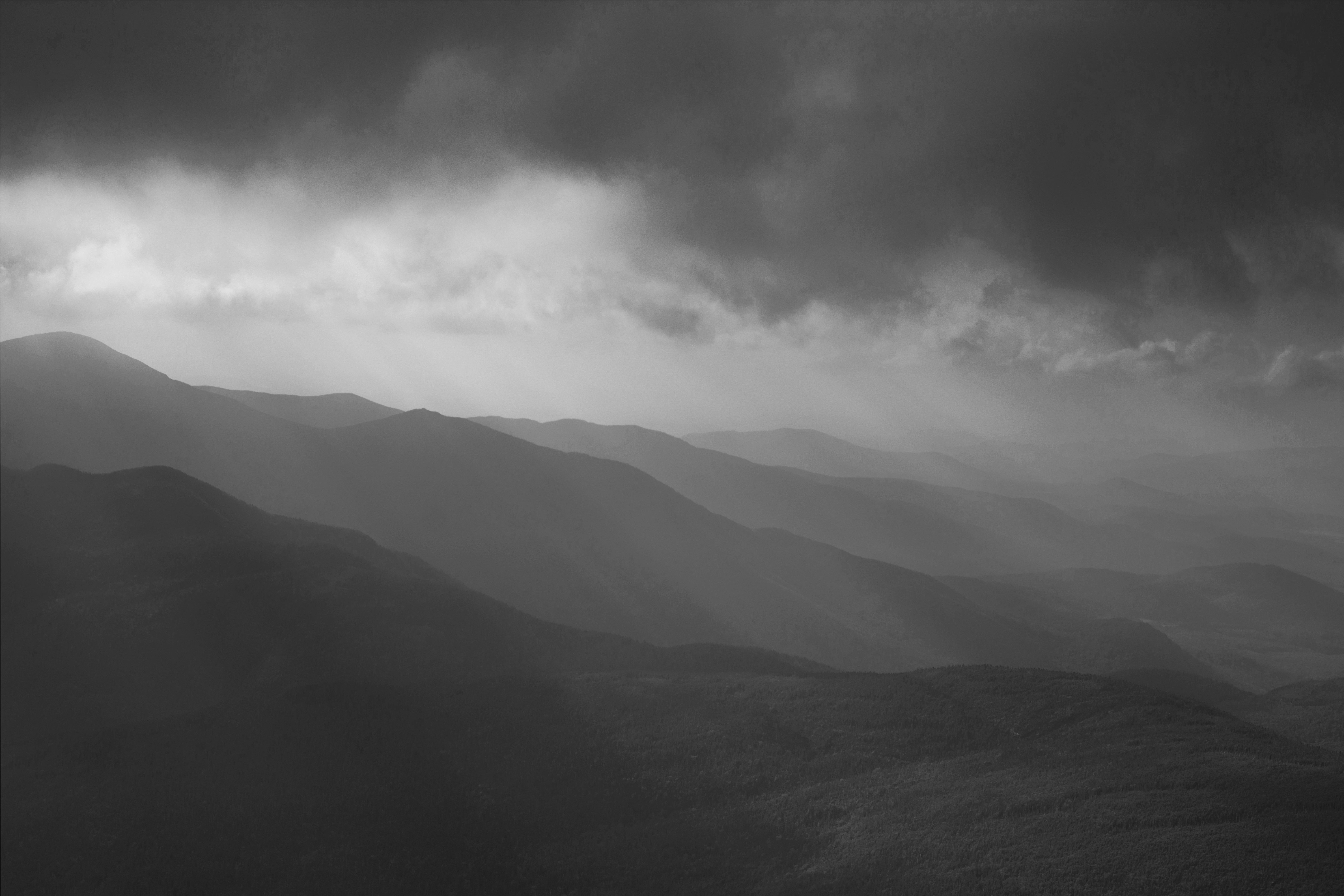 Photo by alexmoliski