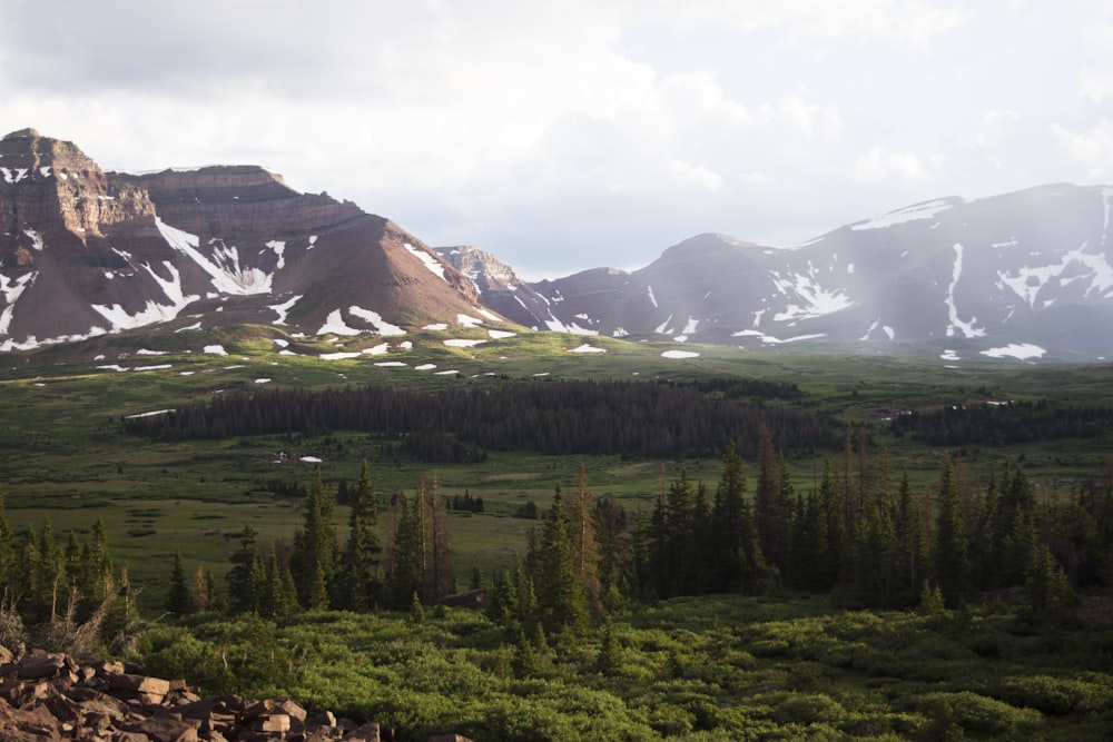 the mountains are covered in snow and trees