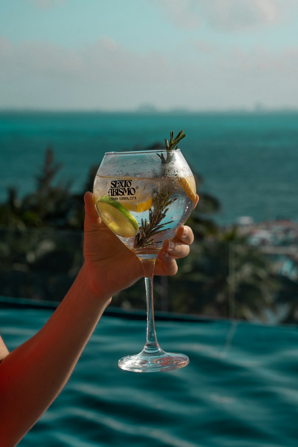 a person holding a wine glass with a view of the ocean