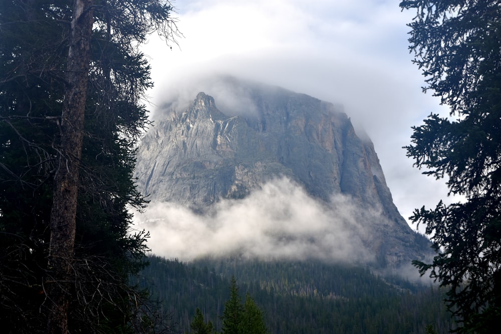 a mountain covered in clouds and trees