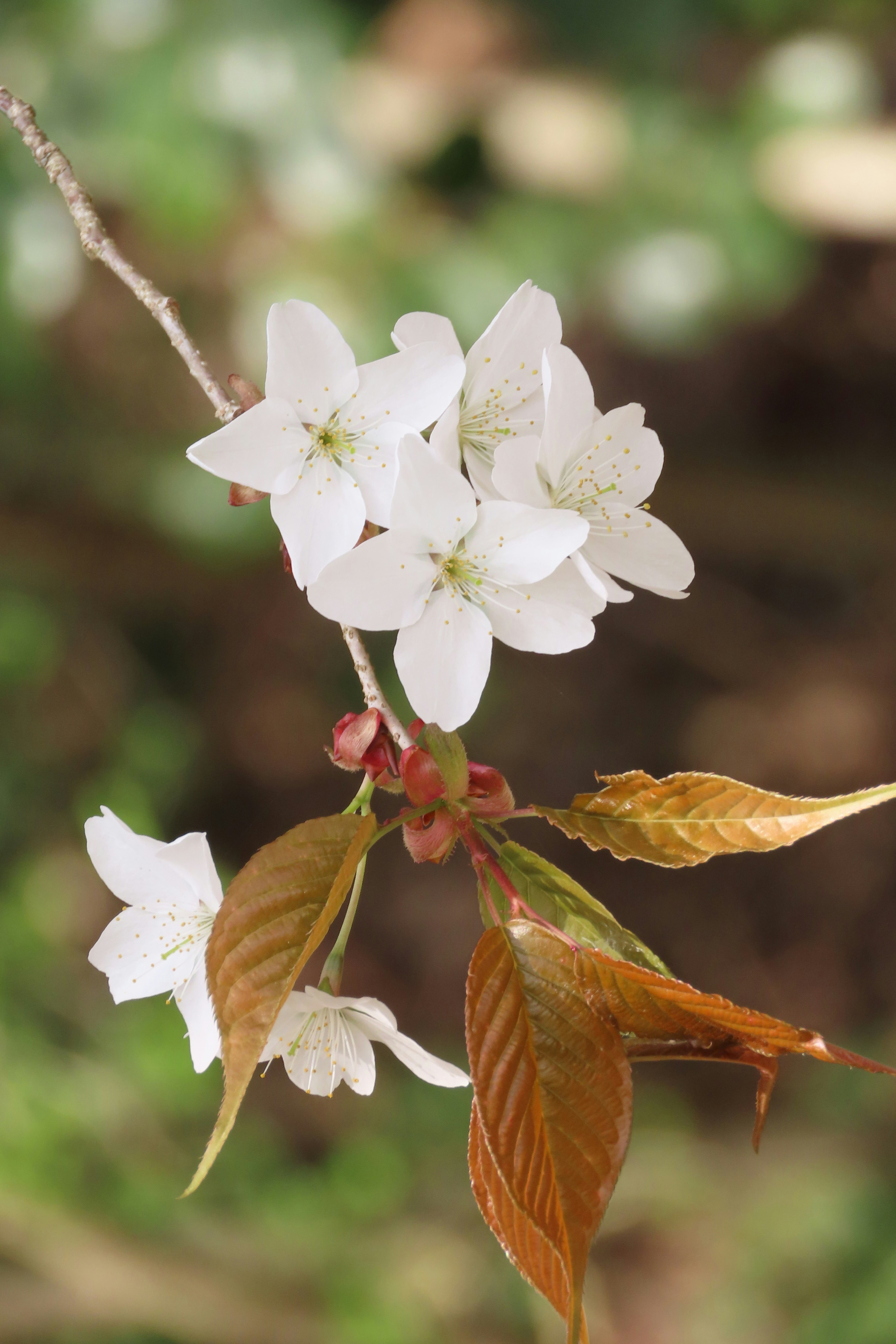 1000+ Unplash Pictures | Download Free Images on Unsplash