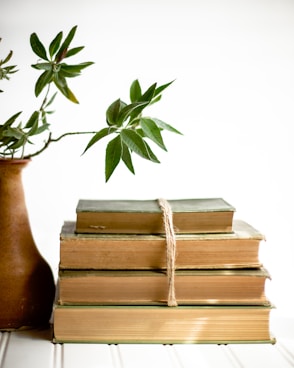 a stack of books next to a vase with a plant