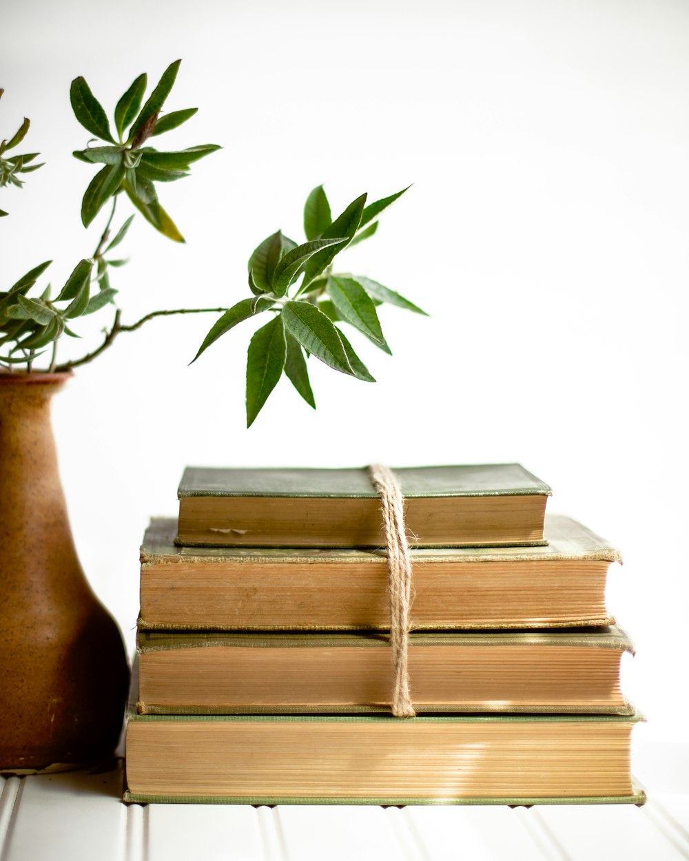 a stack of books next to a vase with a plant