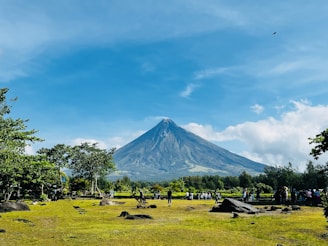 a group of people standing on top of a lush green field