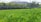 A lush green field with rows of plants stretches towards a backdrop of hills. Metal poles and structures span above the plants, possibly part of an irrigation or shading system. The scene is surrounded by trees and foliage, providing a natural and serene environment.