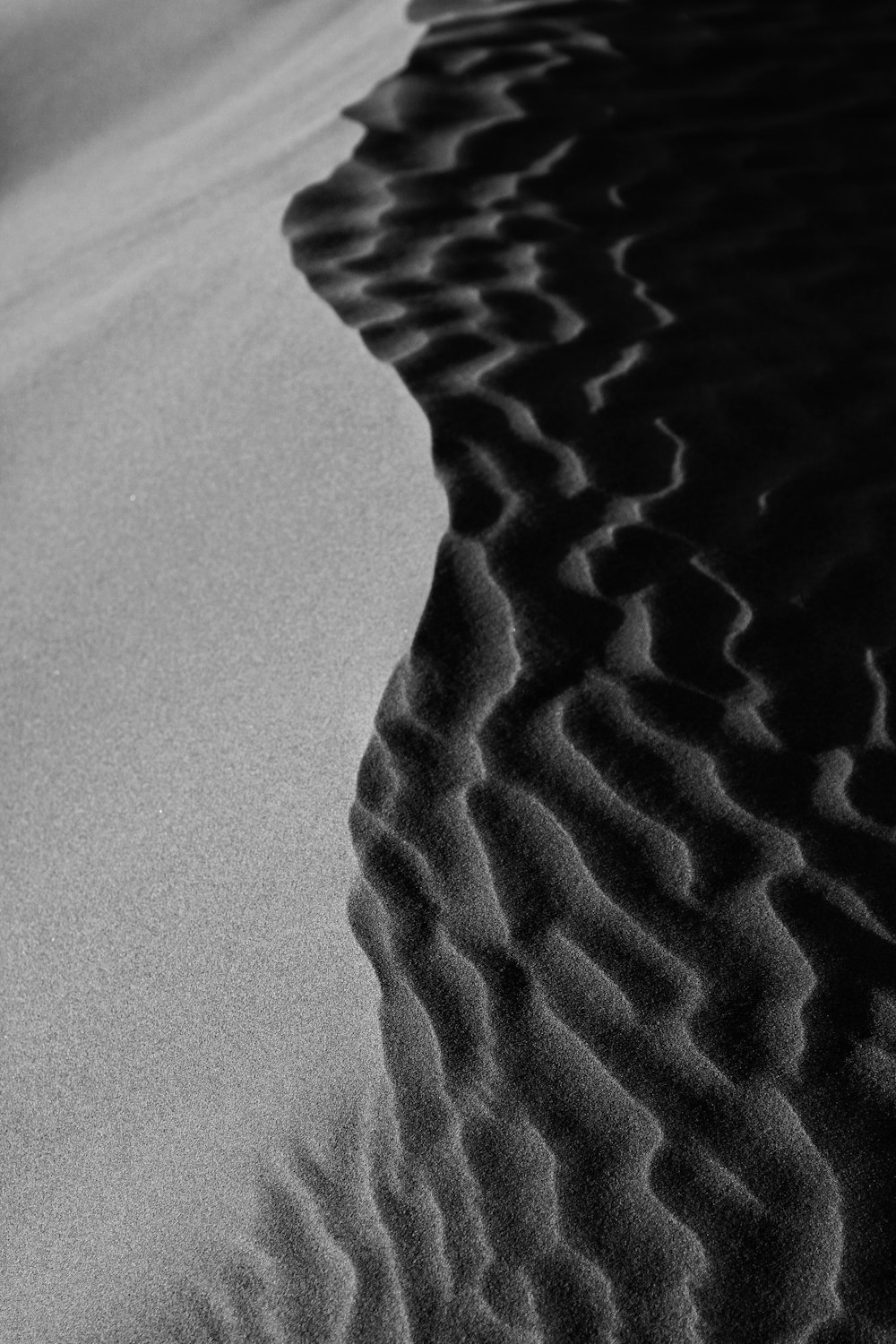 a black and white photo of a sand dune