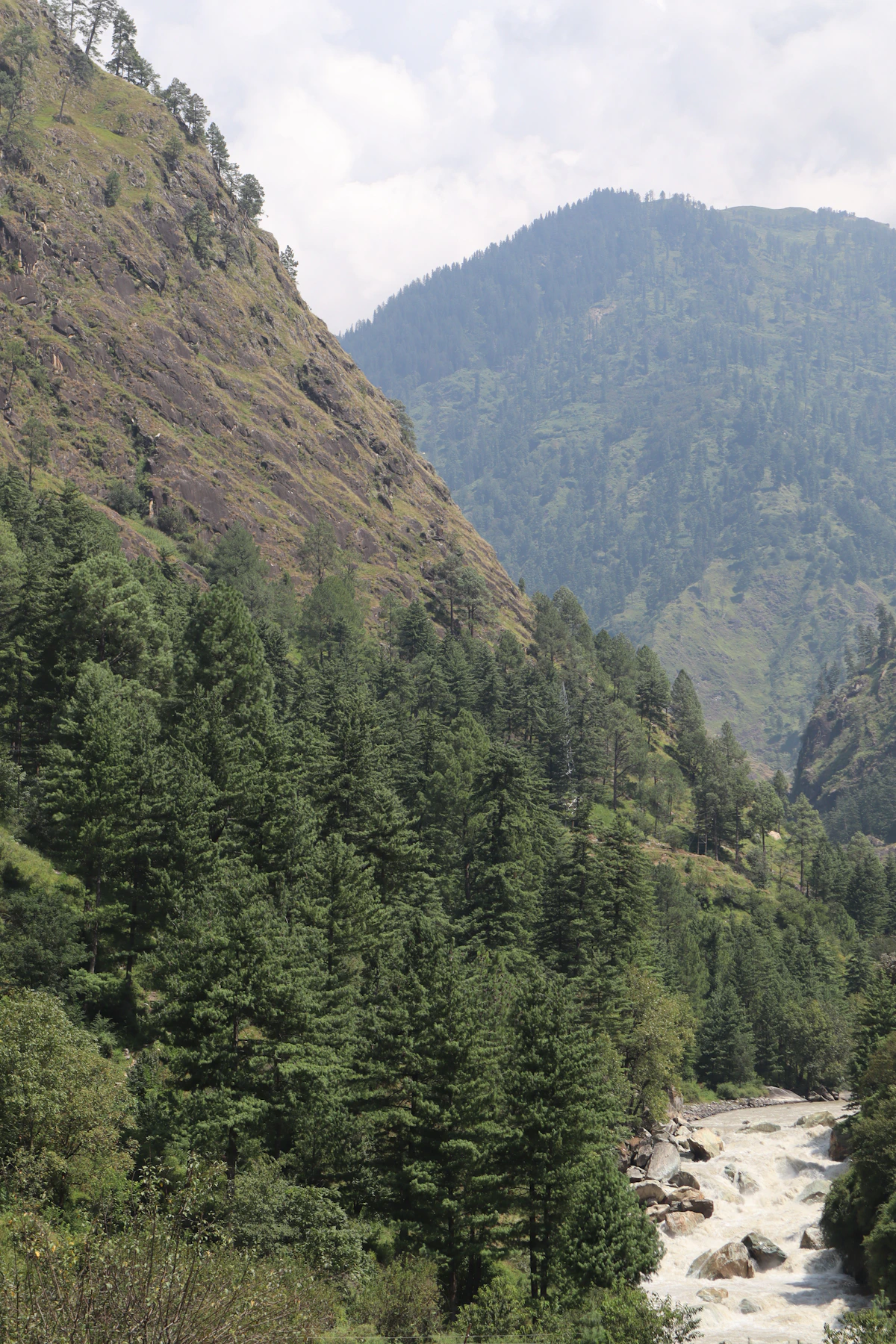 Riverside Camping
