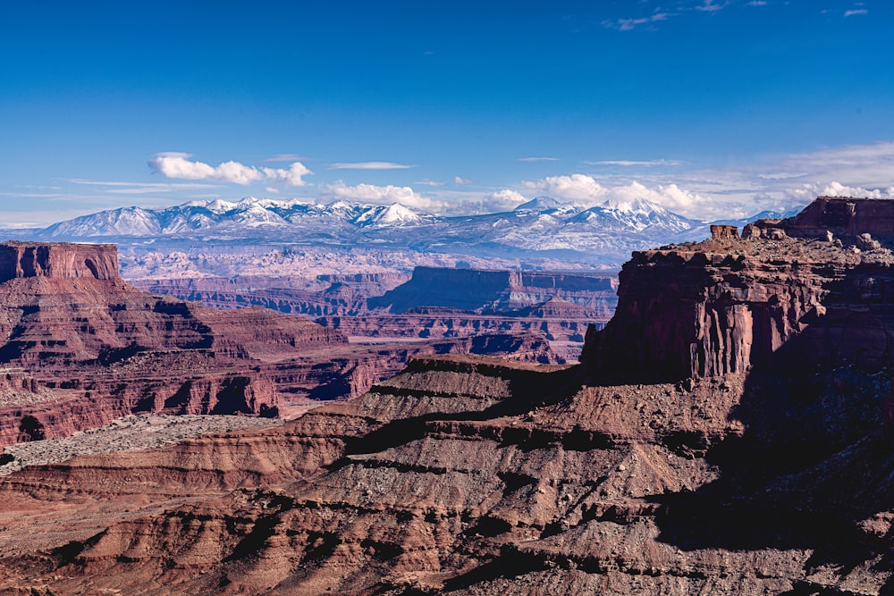 a scenic view of the grand canyon with mountains in the background