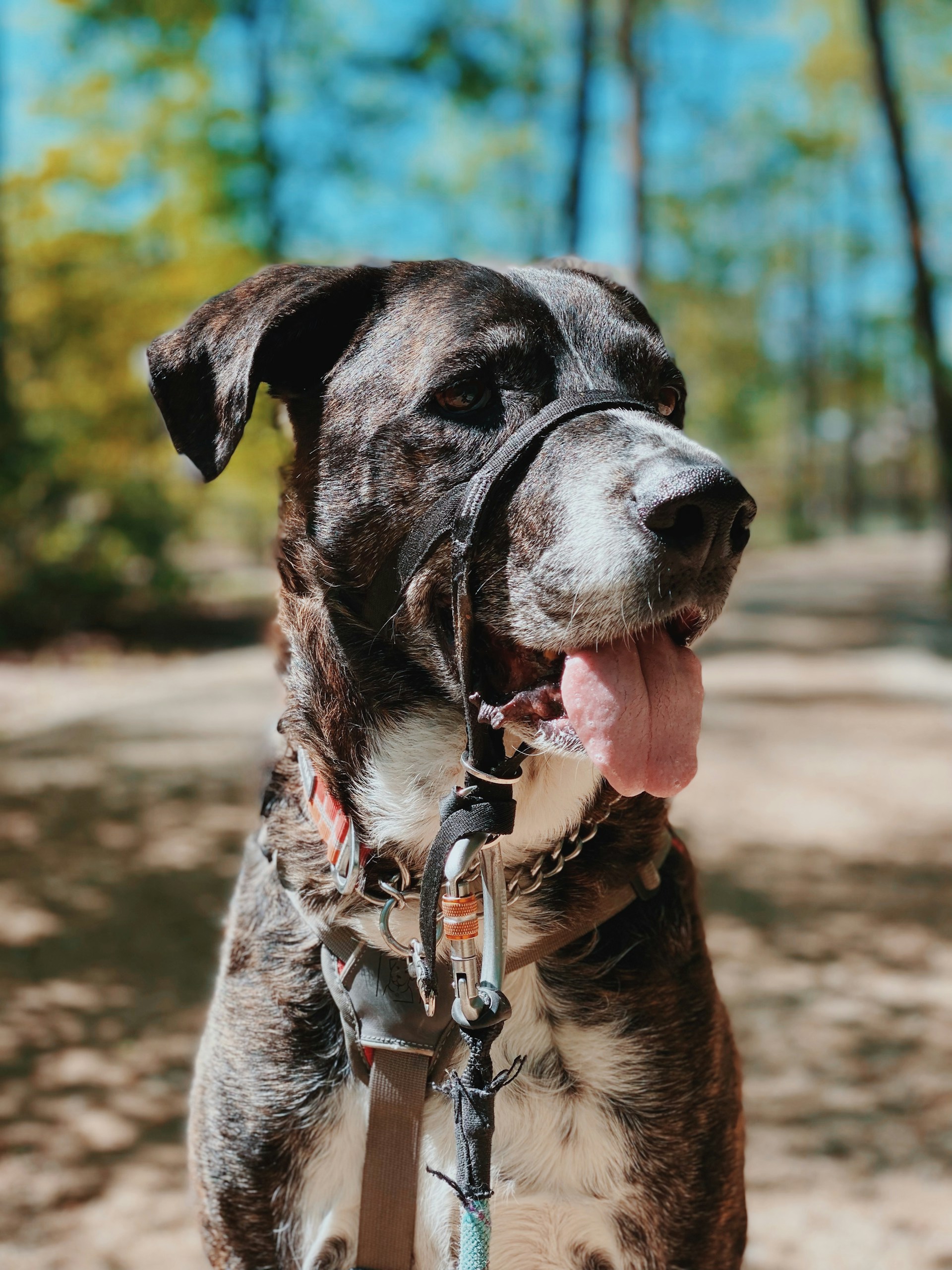 gray computer monitor
