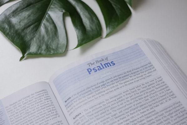 Book Study: Psalms