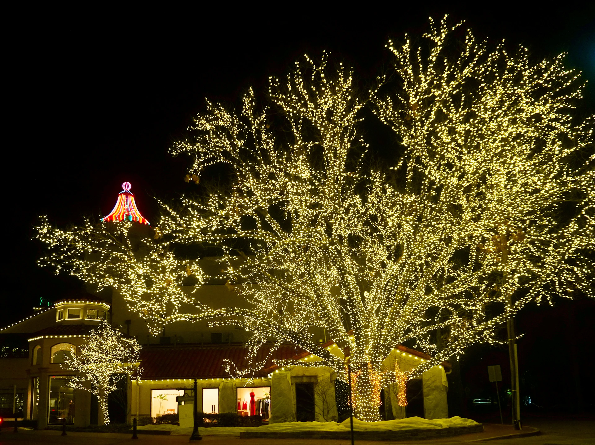 A large tree adorned with twinkling white lights and red ribbons, standing tall in a snowy front yard at dusk.