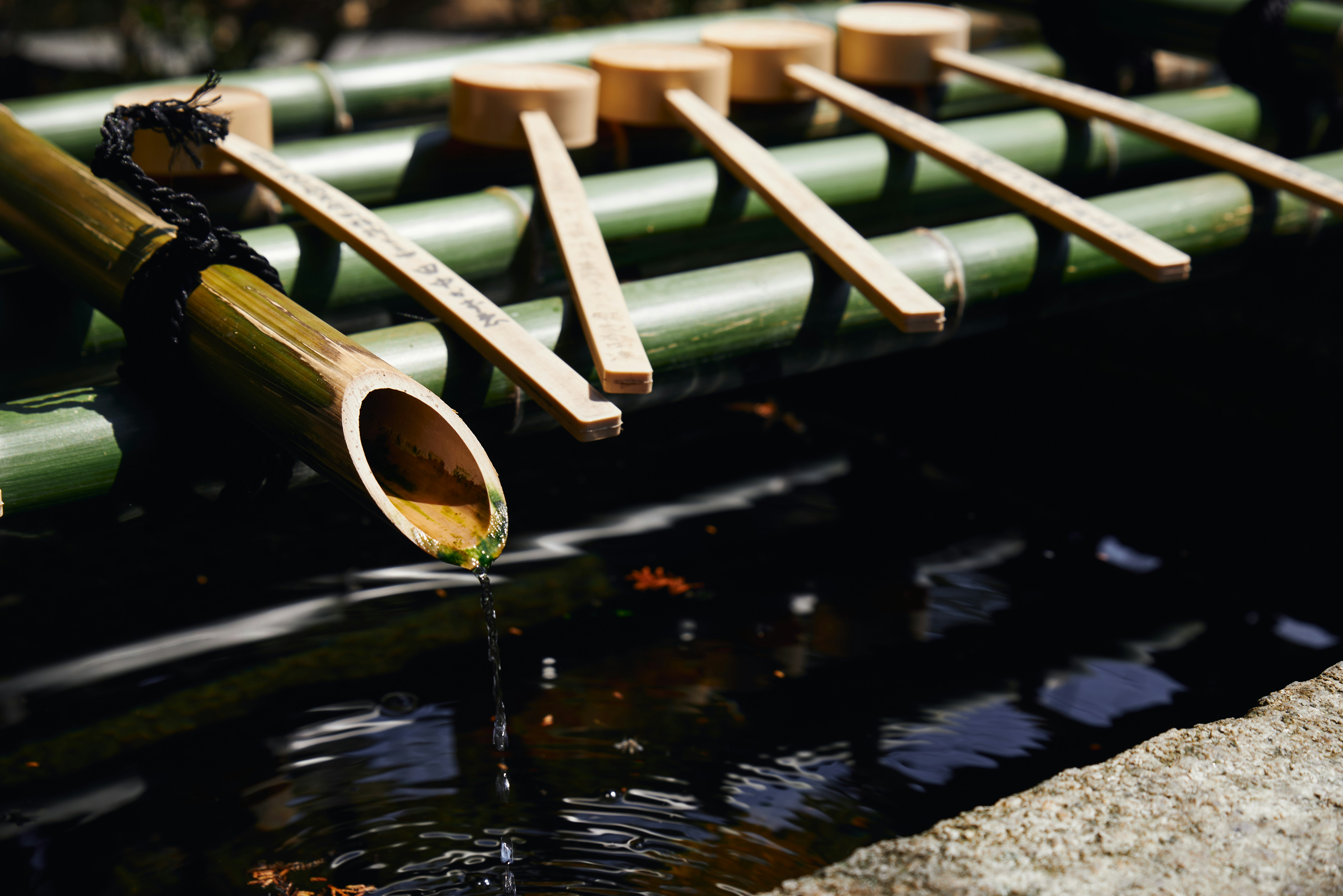 deretan tiang bambu yang duduk di atas badan air