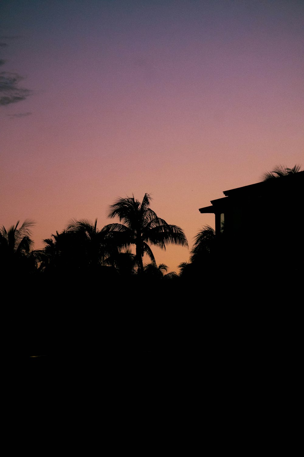 a silhouette of a building and palm trees at sunset