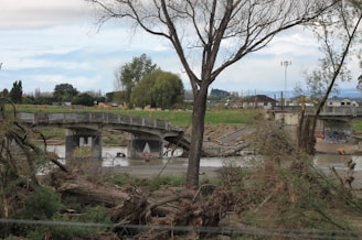 Illustration showing three broken bridges symbolizing communication failures between Polish and Swedish businesses.