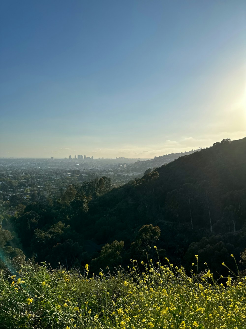 a view of a city from a hill