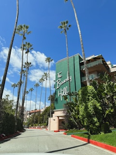 palm trees line the street in front of a hotel
