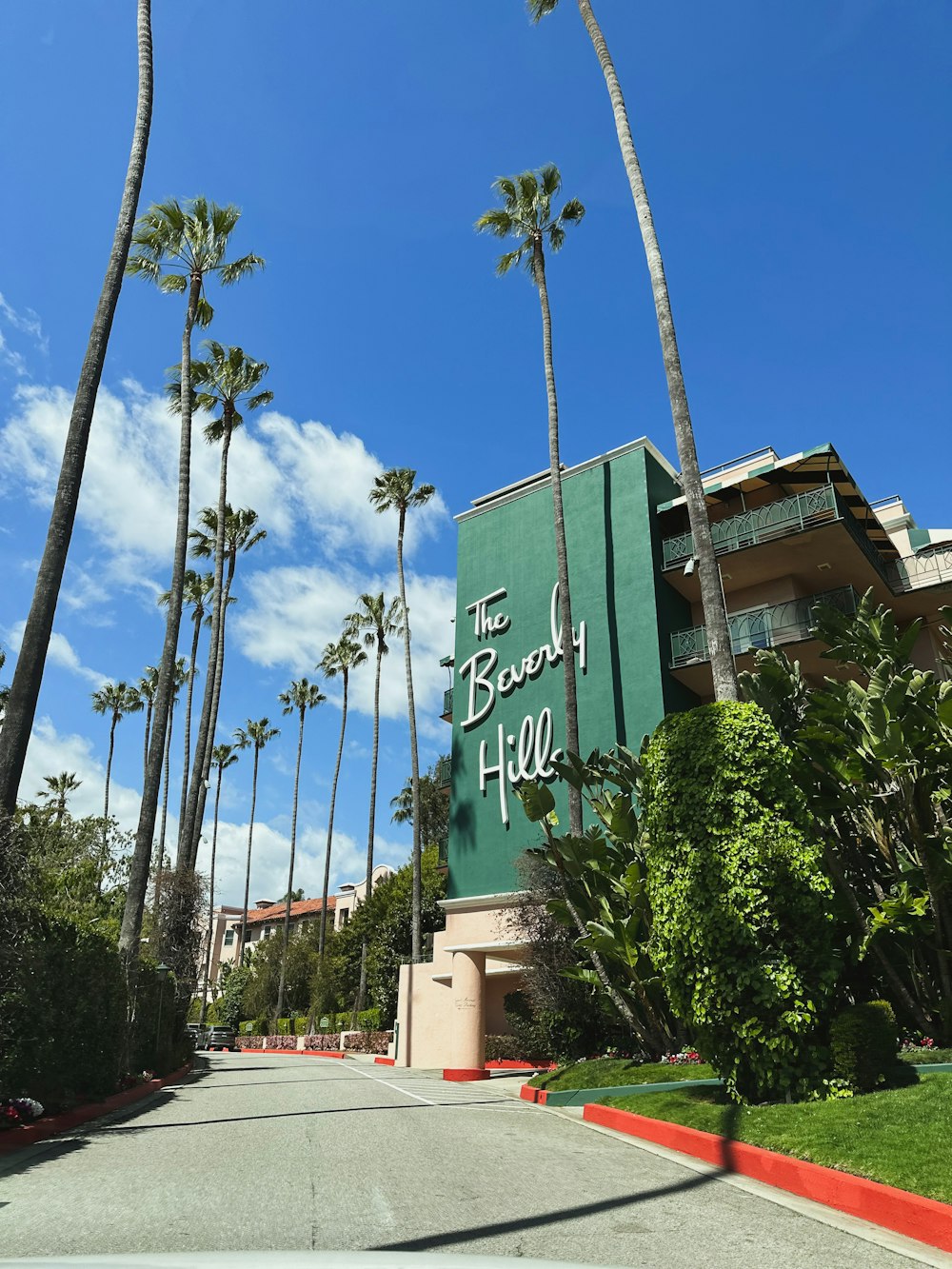 palm trees line the street in front of a hotel