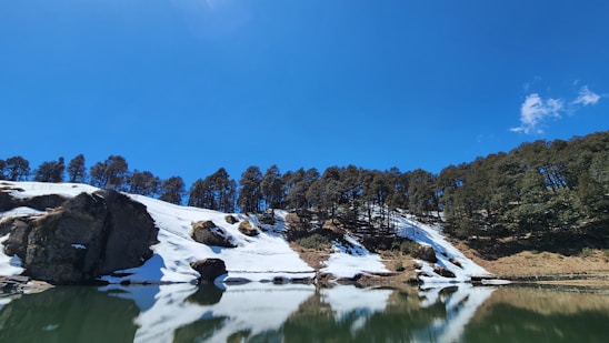 A serene Scandinavian landscape reflecting wellness and tranquility.