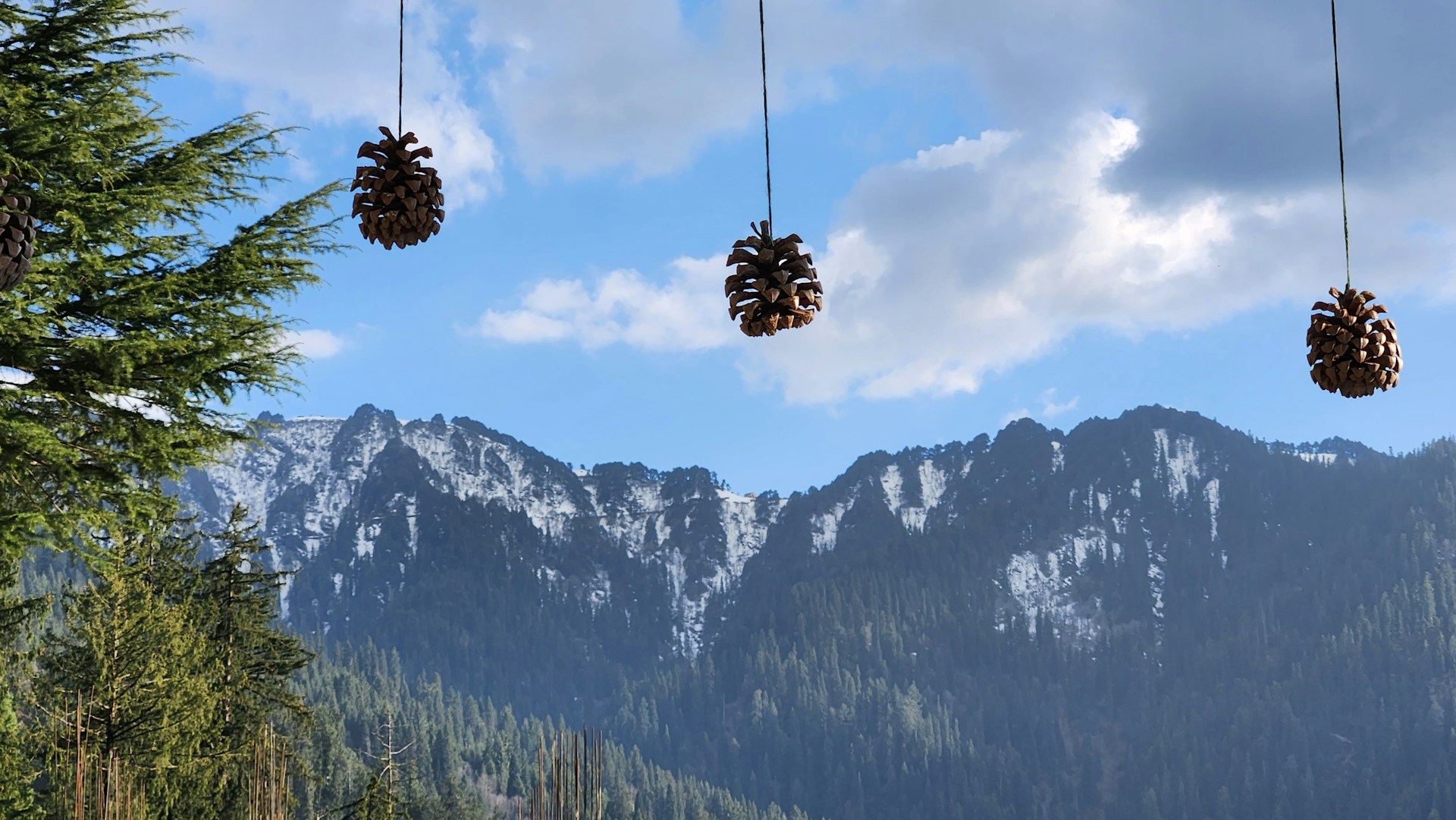 pine cones hanging from a line with mountains in the background