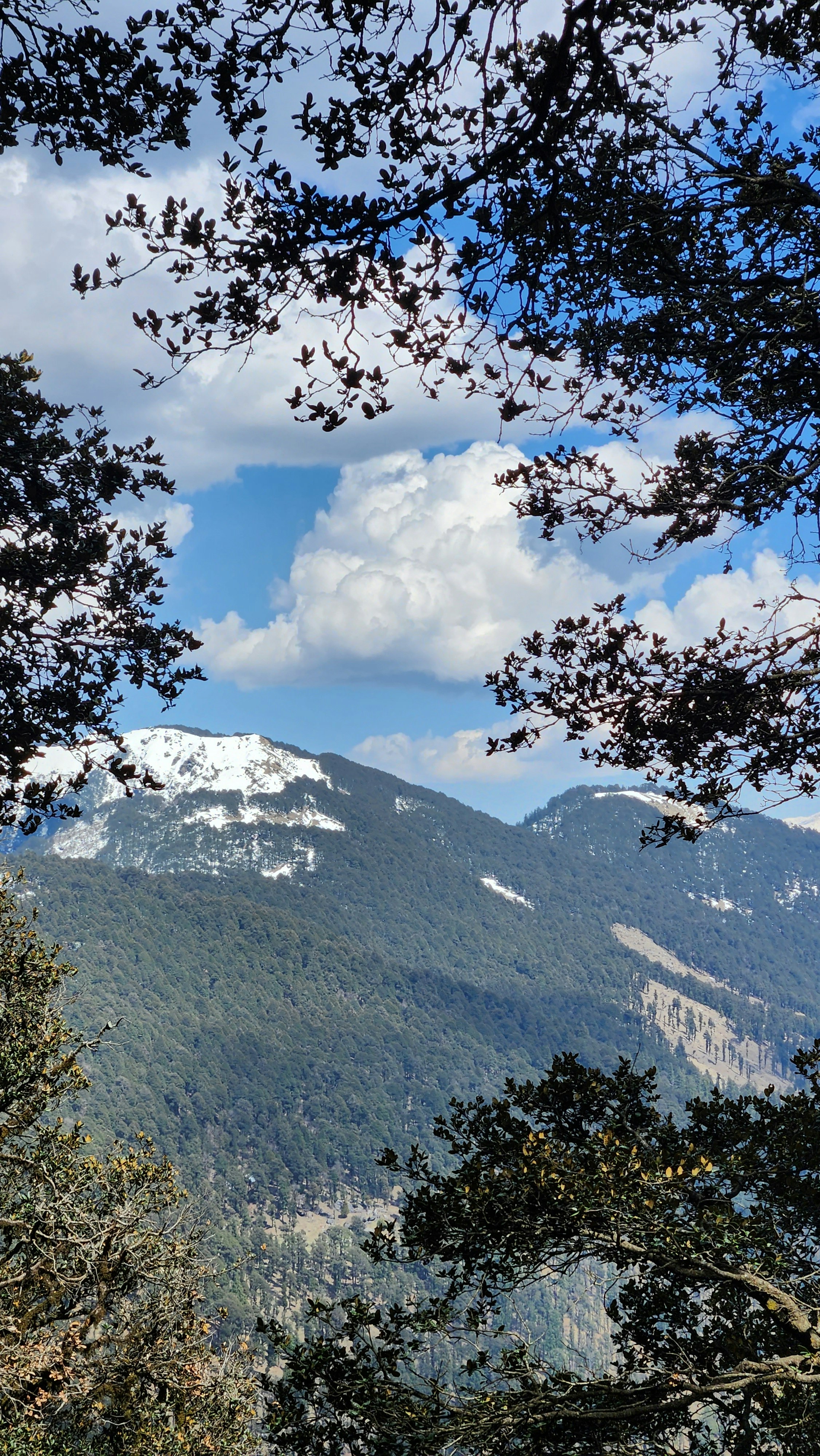 Photo by ashish_rastogi