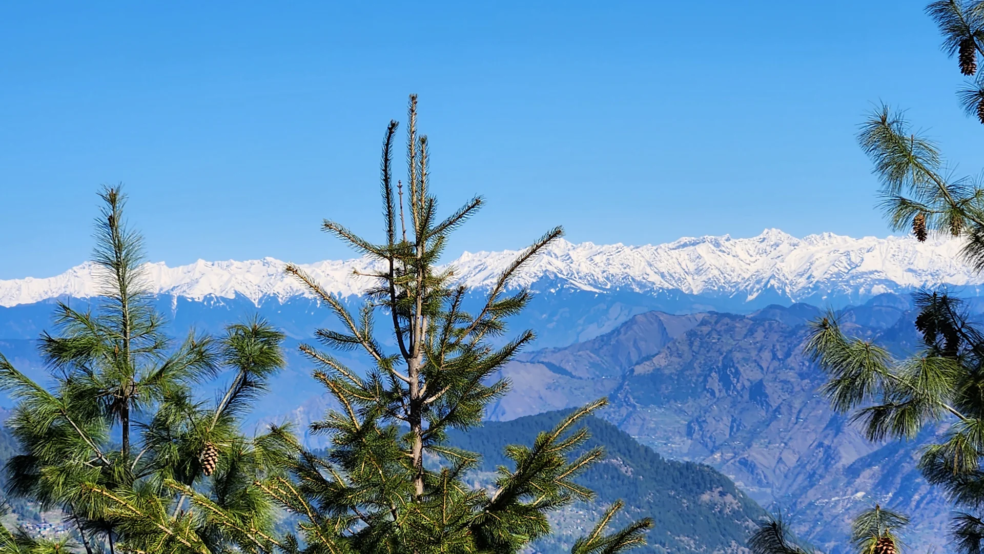 Kullu to Jibhi by taxi