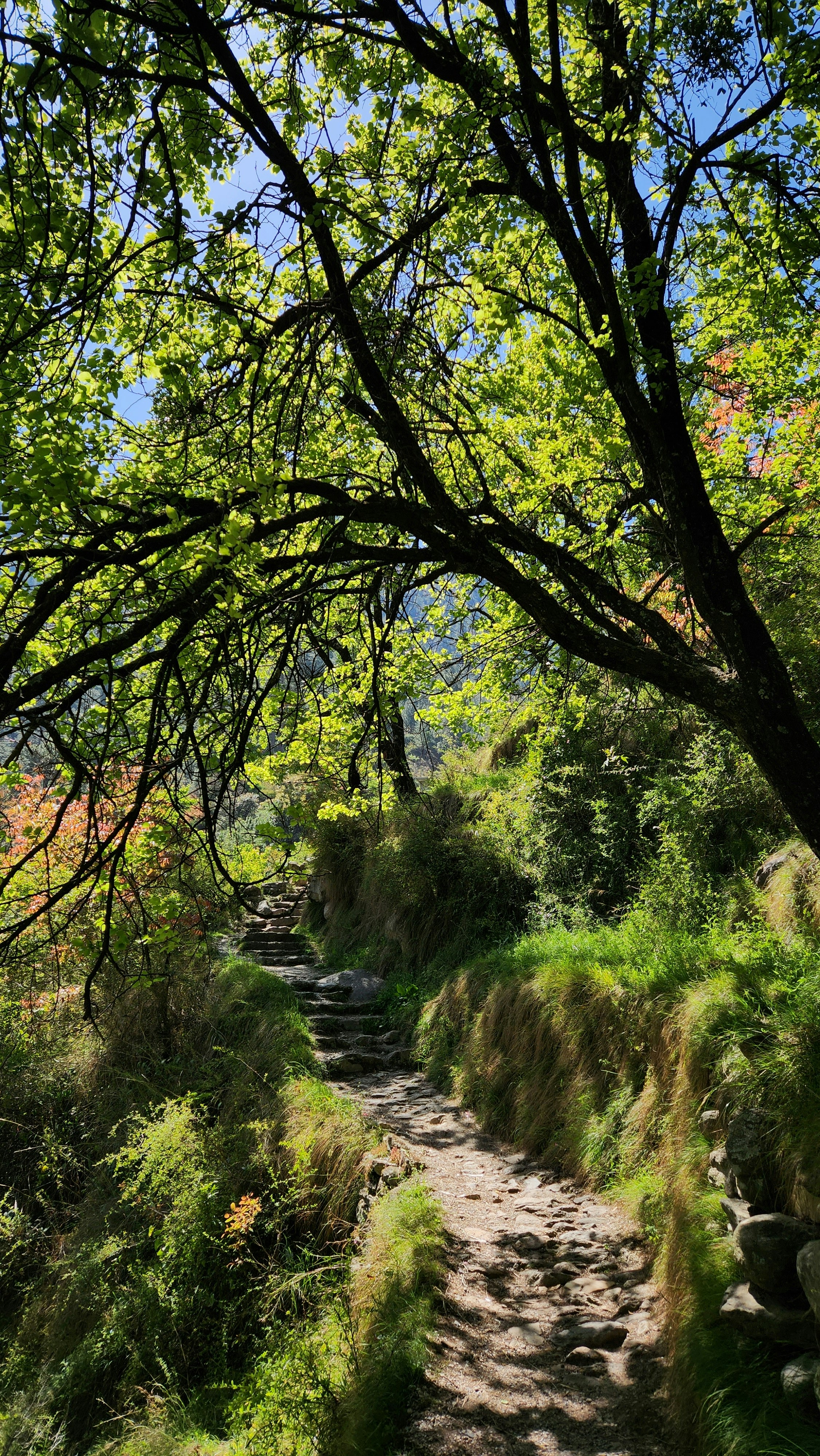 Photo by ashish_rastogi