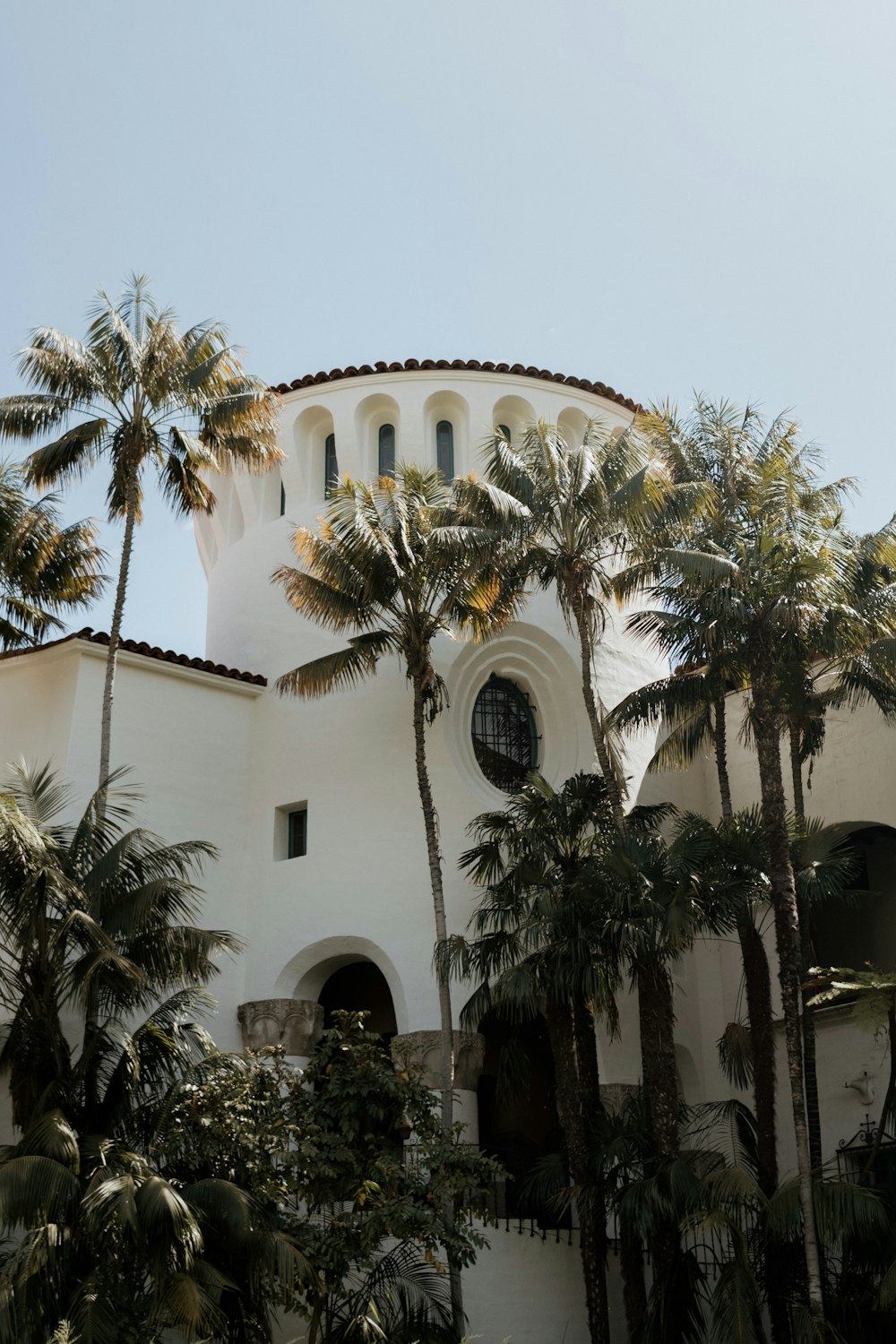 a white building with palm trees in front of it