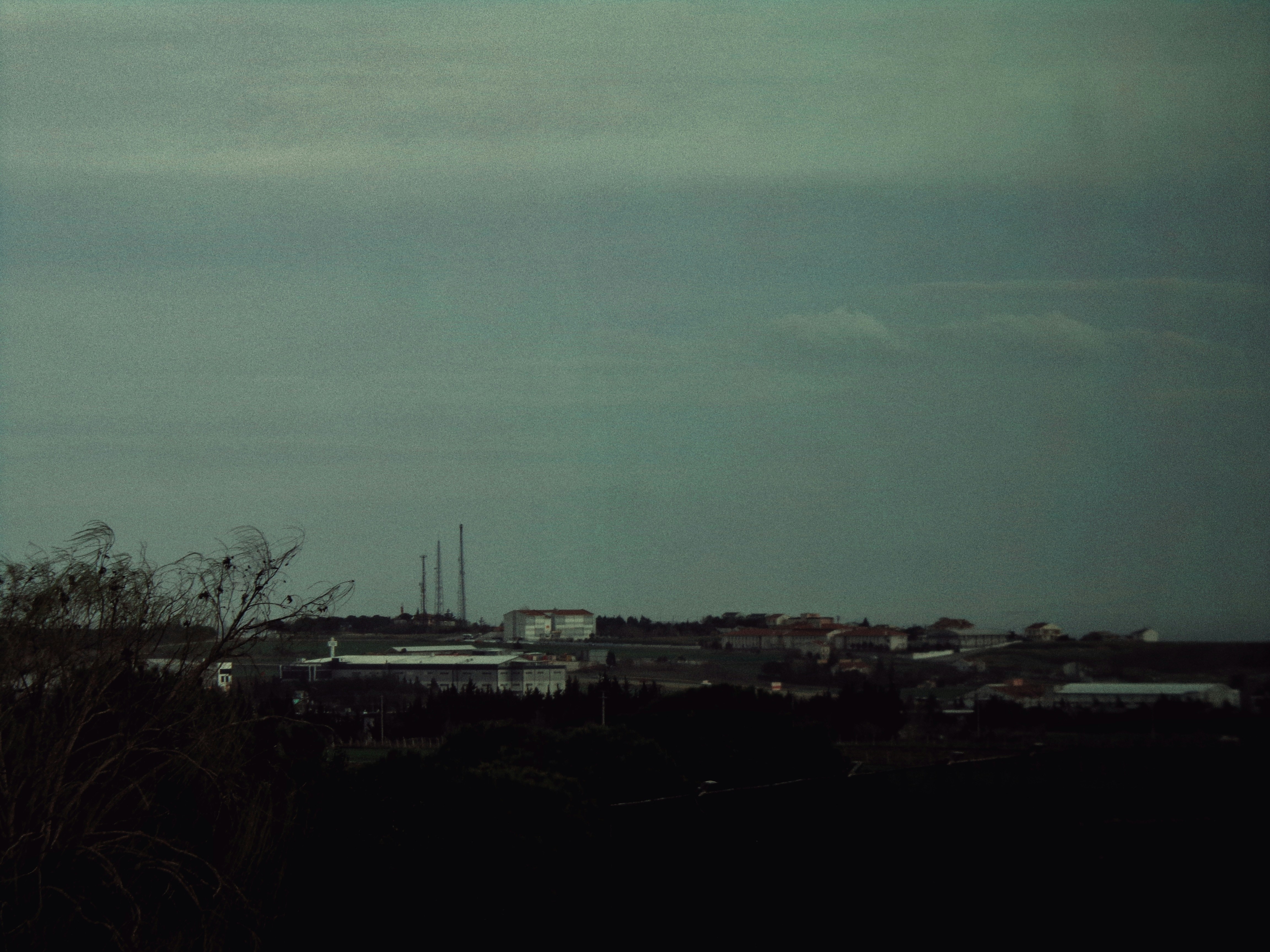 장수 산업 시장 전망