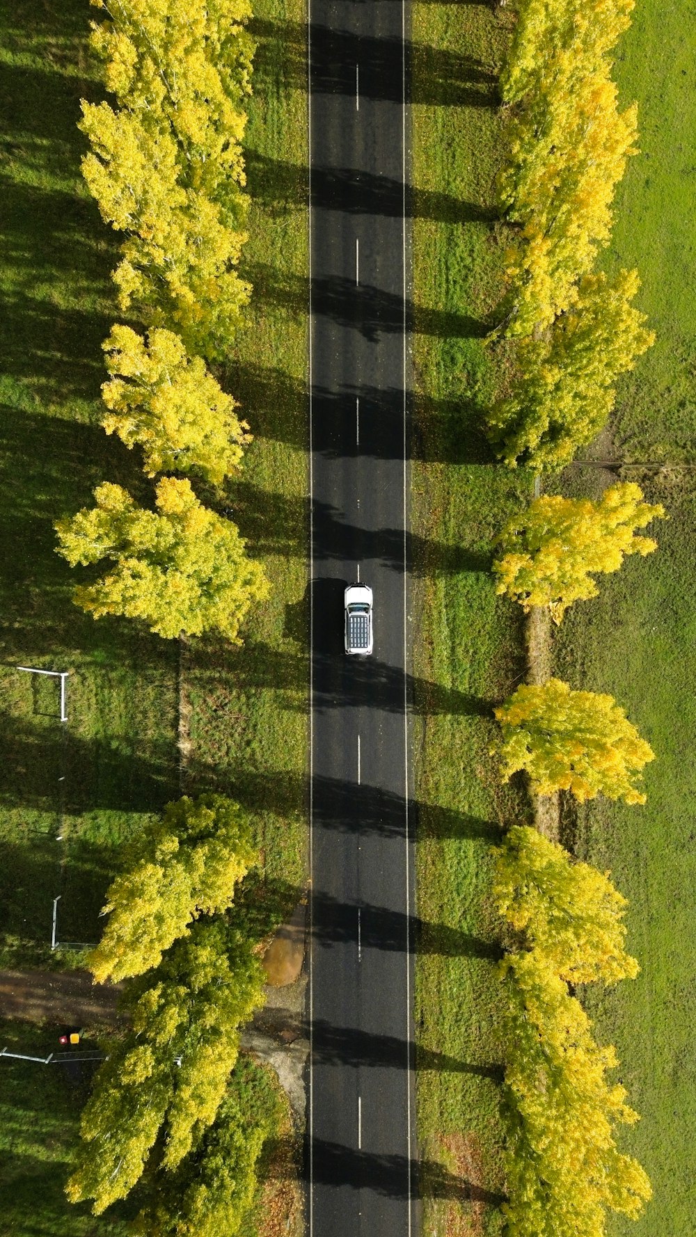 a car driving down a road surrounded by trees