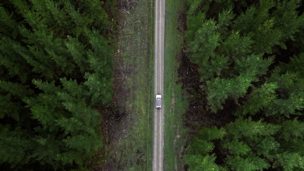 an aerial view of a car driving through a forest