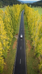a car driving down a road surrounded by trees