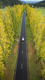 a car driving down a road surrounded by trees