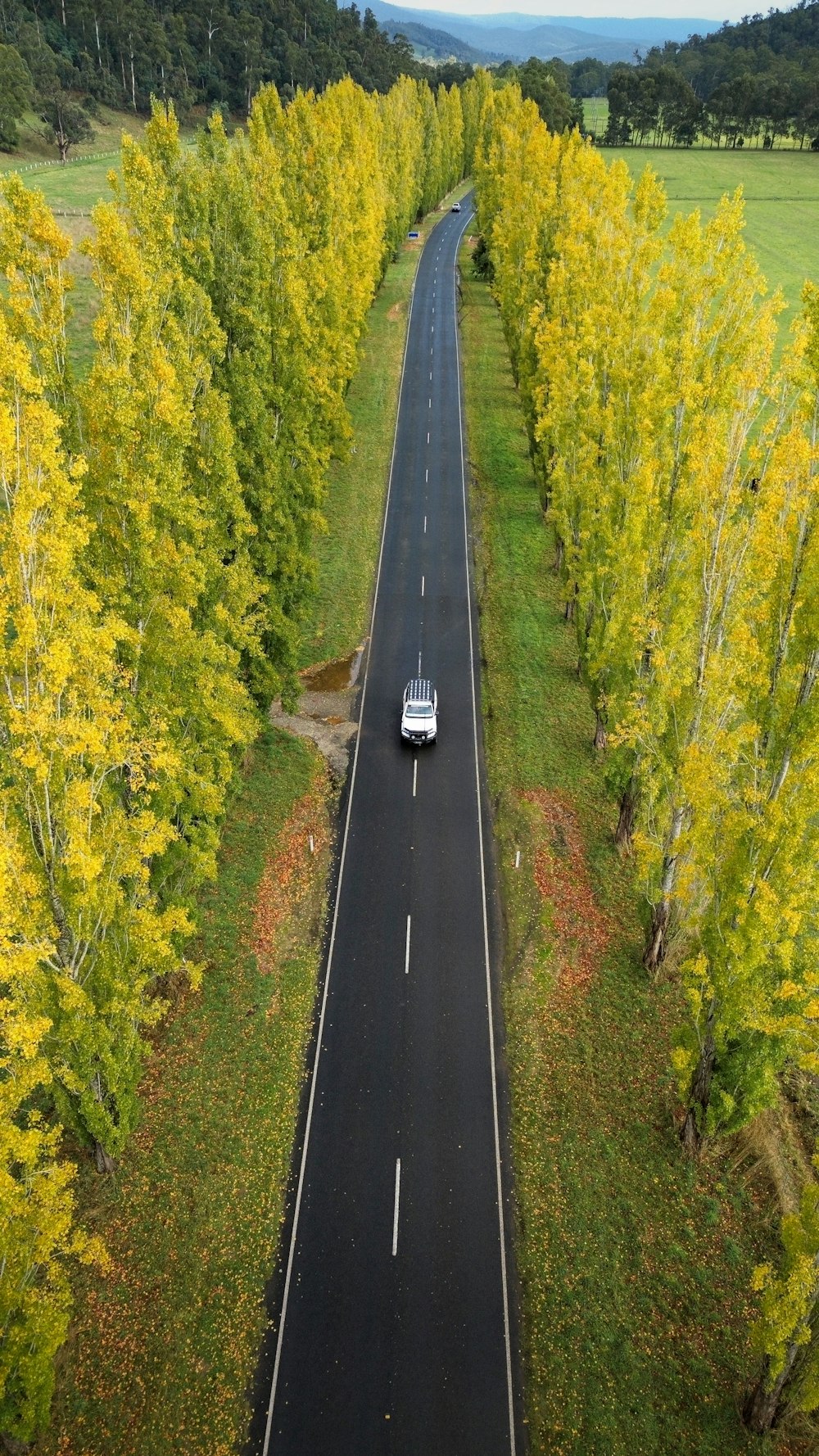 a car driving down a road surrounded by trees