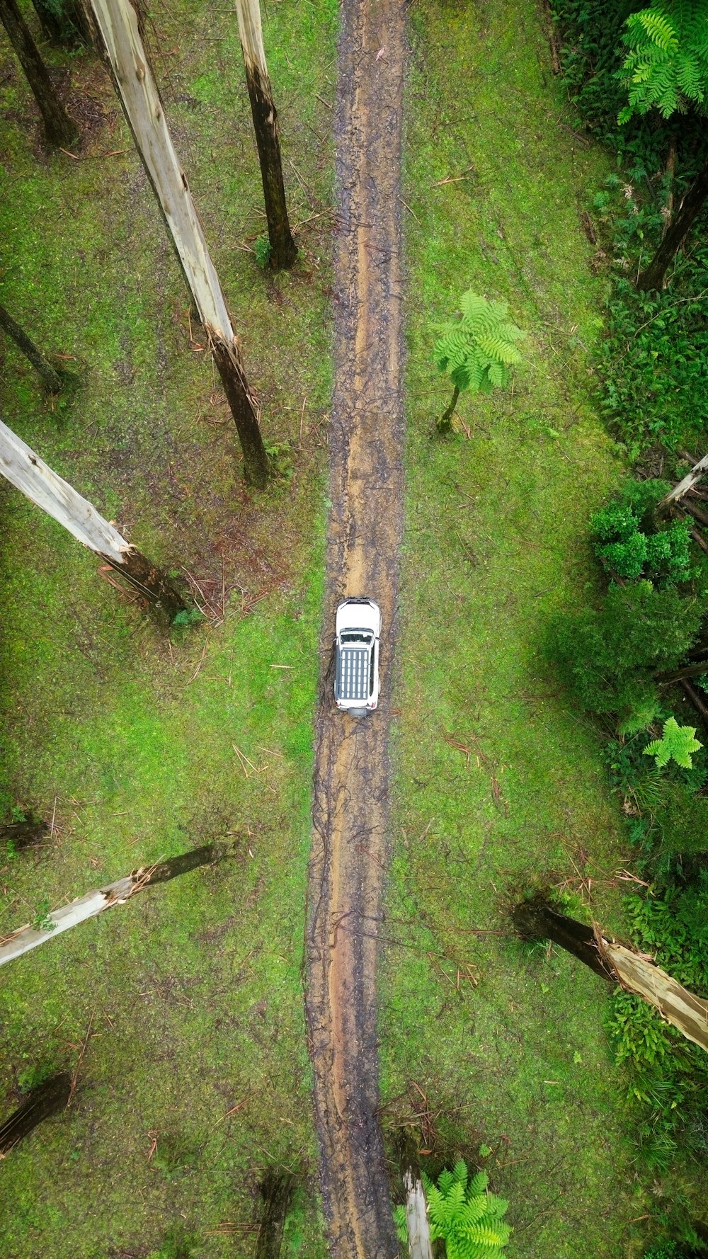 an aerial view of a truck driving down a dirt road