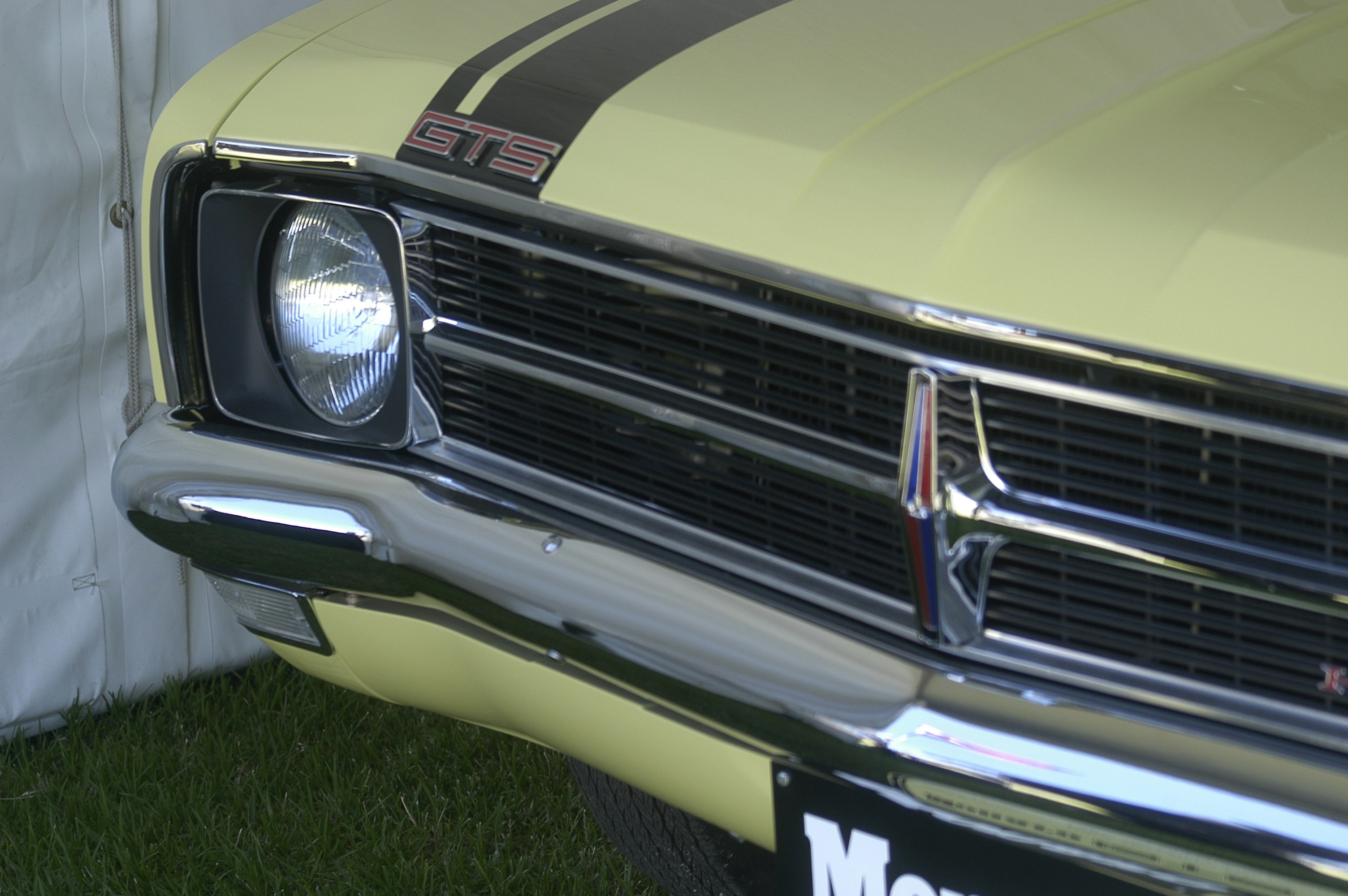 Photo by flynnsphotography13