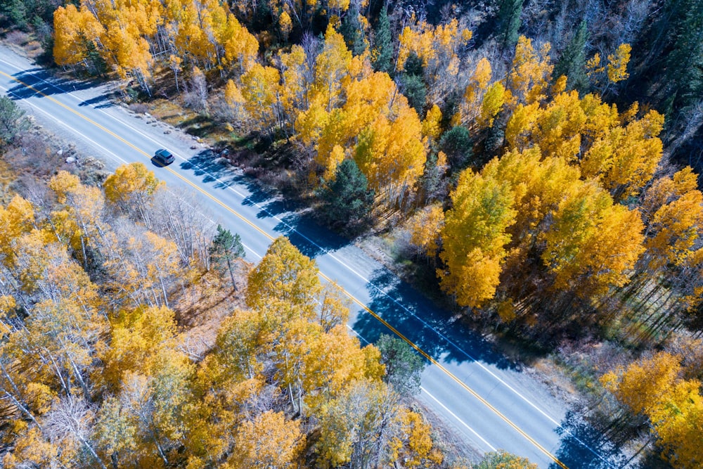 an aerial view of a road surrounded by trees