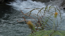 Clear flowing water representing effective wastewater treatment solutions.