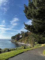 A serene running route along the coastline, framed by native trees and clear turquoise waters.