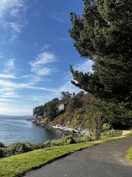 A scenic coastal path winding along cliffs with the ocean stretching beyond.