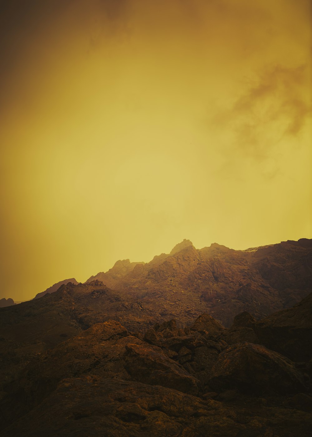 a lone bird standing on top of a mountain