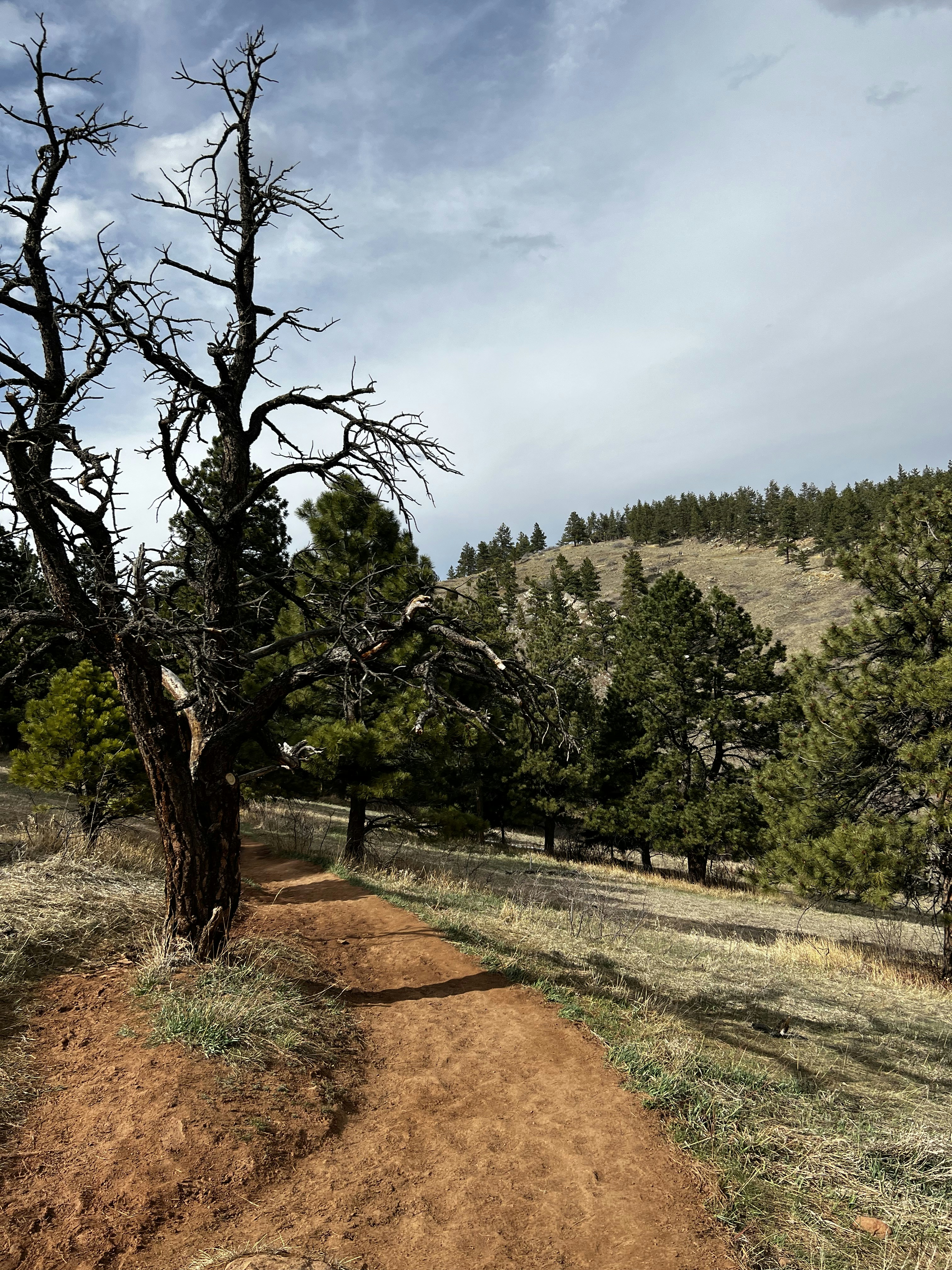 Photo by laitonbarbo