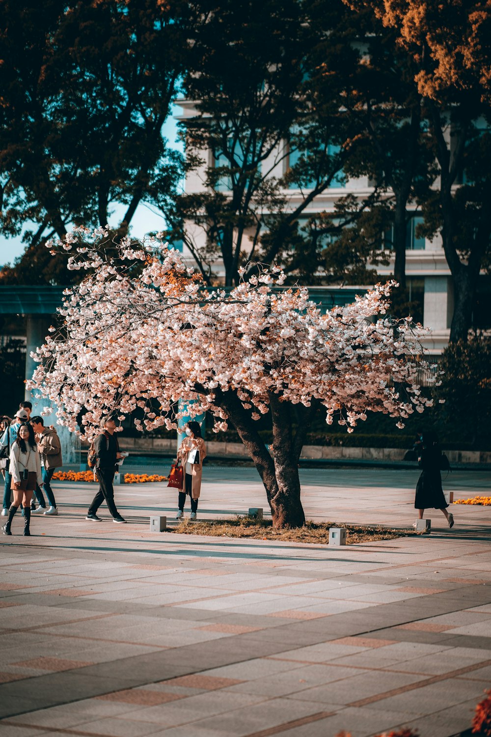 a group of people walking down a sidewalk next to a tree